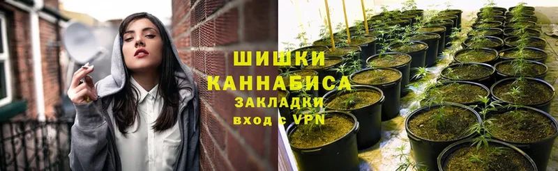 купить наркотик  Зуевка  Бошки Шишки AK-47 